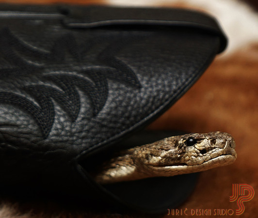 There is a snake in my boot!