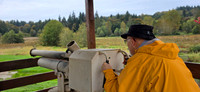 Apple cannon