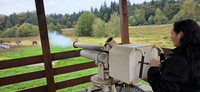 Apple cannon