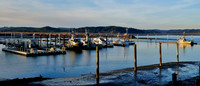 #NOT_AT_HOME_SIGHTS: No pleasure boats - only work boats