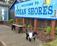 Thanksgiving @ Ocean Shores