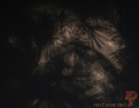 Rorschach Test