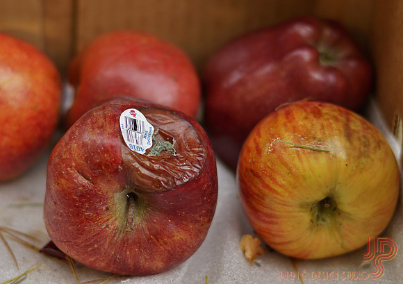 One rotten apple spoils the whole barrel