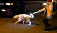 Walk