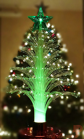 #5 XMas Trees