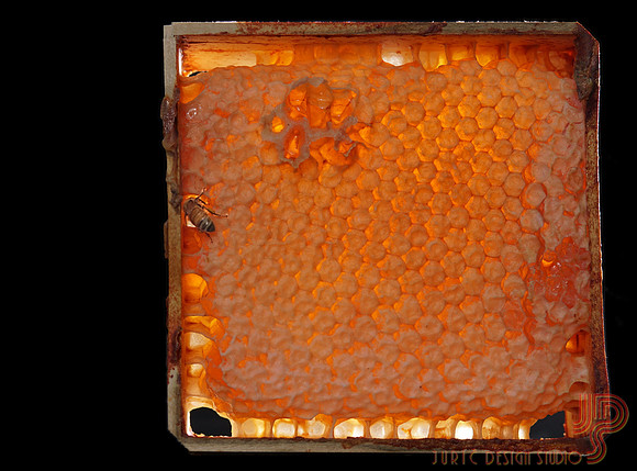 A honeycomb or a mini-hive, that is the question