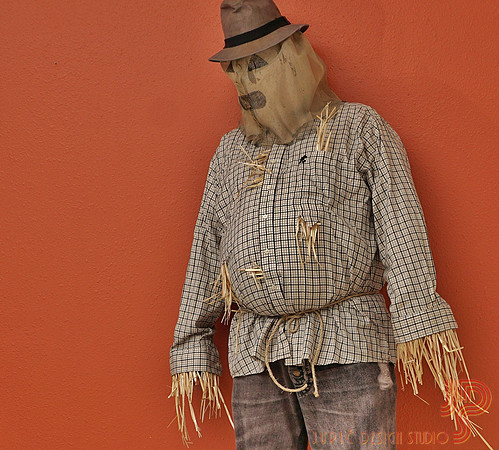 2015 Strawman