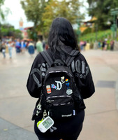 Disney California Adventure Park