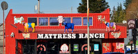 #NOT_AT_HOME_SIGHTS: Cows advertising mattresses