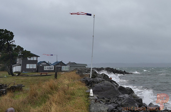 Gale at high tide