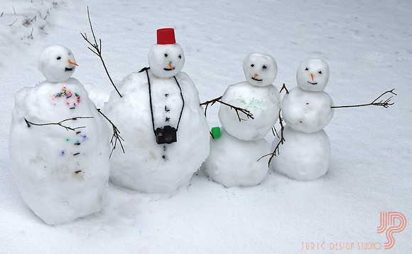 Snow Family