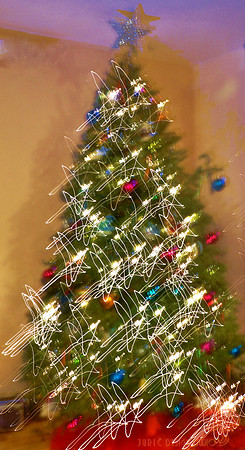 Star Tree