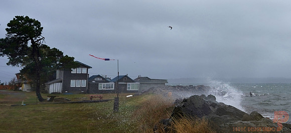 Gale at high tide