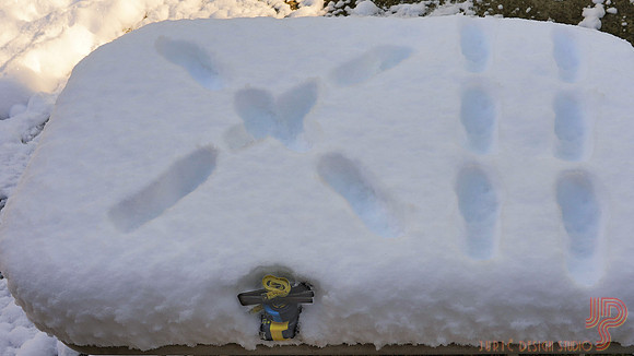 12 ft snow = 4 метра снег