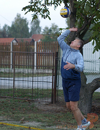 2006