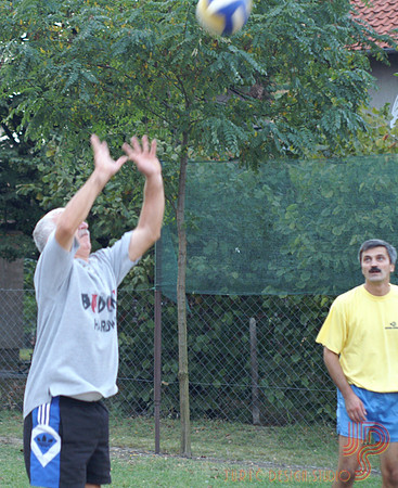2006