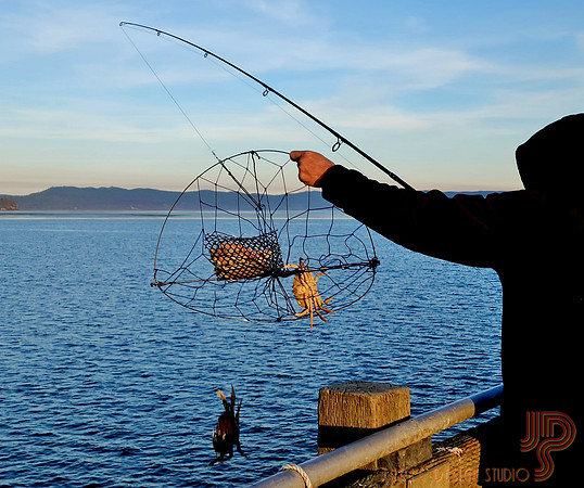 #NOT_AT_HOME_SIGHTS: Catching crabs