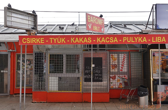 Galambok nincsenek veszélyben