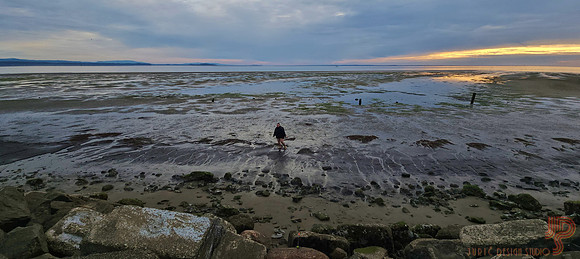 Tina deep in the low tide