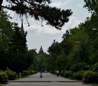 Радијалац