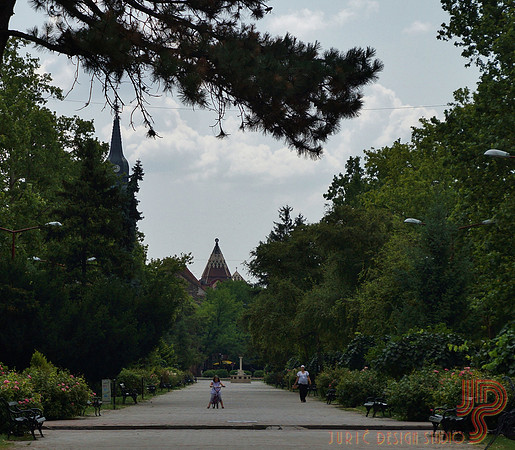 Радијалац