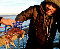#NOT_AT_HOME_SIGHTS: Catching crabs