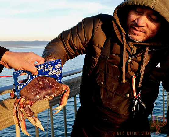 #NOT_AT_HOME_SIGHTS: Catching crabs