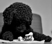 1st B-Day