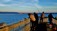 #NOT_AT_HOME_SIGHTS: Catching crabs