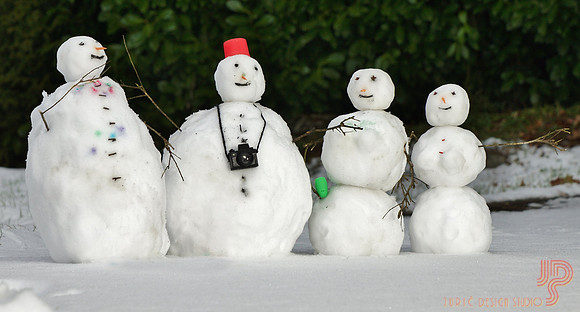 Snow Family