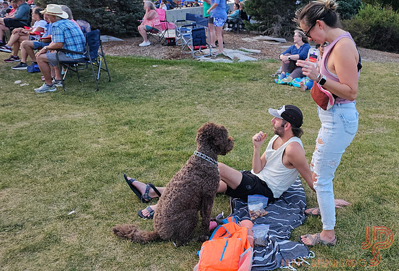 Family @ Concert
