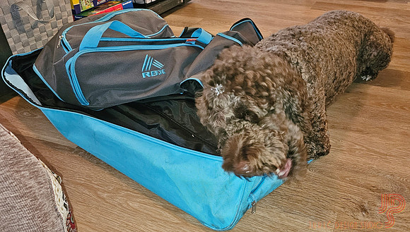 Divna wabts to travel