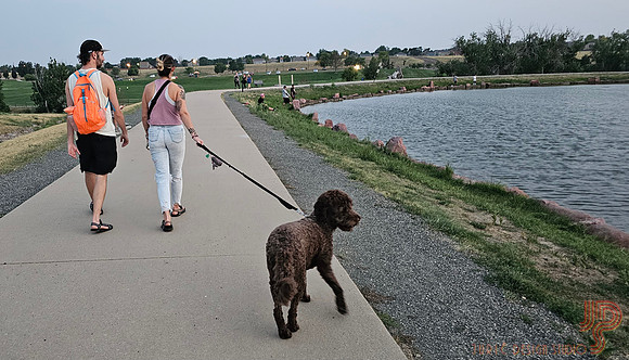 By the lake