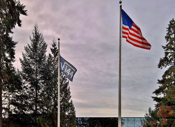 Flags @ Microsoft Campus