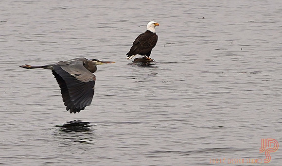 Fly-by